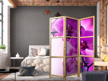 Paravan japonez - Violet Orchids I - Img 2