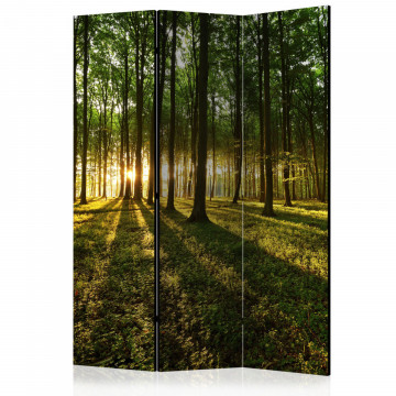 Paravan - Morning in the Forest [Room Dividers] - Img 1