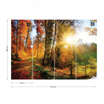 Sunrise In Autumn Forest Photo Wallpaper Wall Mural - Img 18