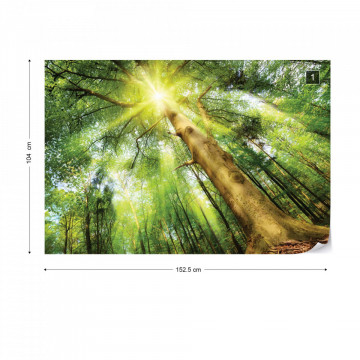 Sunshine Trees In The Forest Photo Wallpaper Wall Mural - Img 8