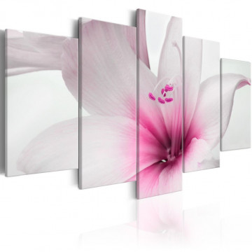 Tablou - Amarylis: Pink Charm - Img 1