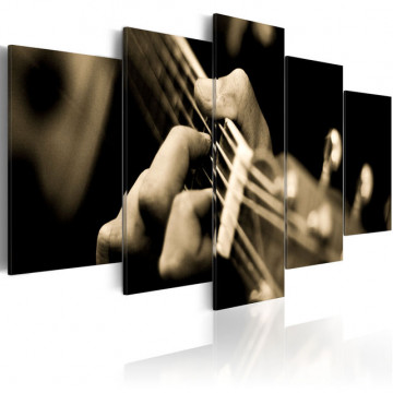 Tablou - Classical guitar - Img 1
