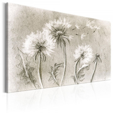 Tablou - Dandelions (Pencil Artwork) - Img 1