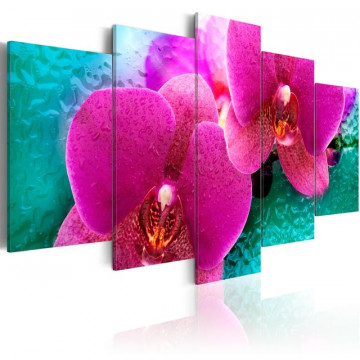 Tablou - Exotic orchids - Img 1