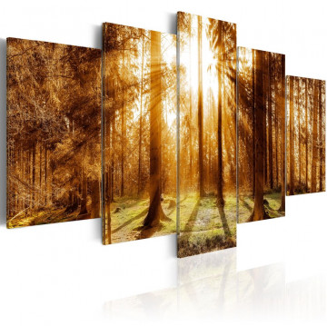 Tablou - Forest Illumination - Img 1