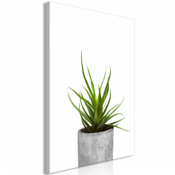 Tablou - Haworthia (1 Part) Vertical - Img 1