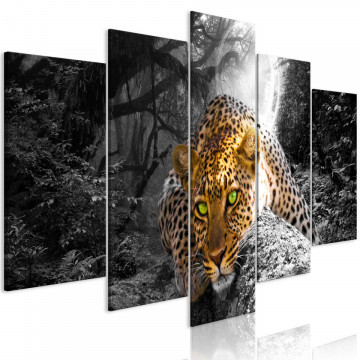 Tablou - Leopard Lying (5 Parts) Wide Grey - Img 1