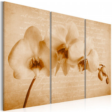 Tablou - orchid (vintage) - Img 1