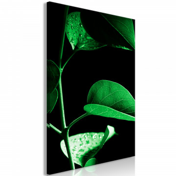 Tablou - Plant in Black (1 Part) Vertical - Img 1