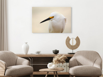 Tablou - Snowy Egret (1 Part) Wide - Img 2