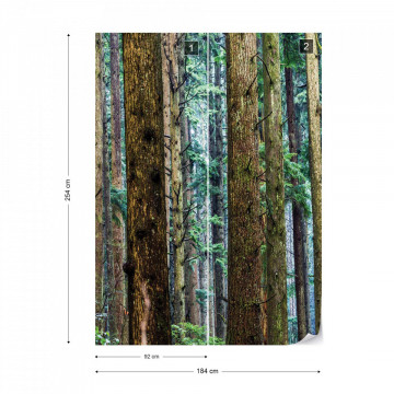 Tree Textures In The Forest Photo Wallpaper Wall Mural - Img 7
