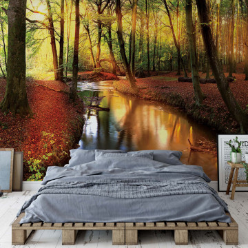 Autumn Forest River Nature Photo Wallpaper Wall Mural - Img 14