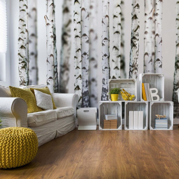 Birch Trees Forest Nature Texture Photo Wallpaper Wall Mural - Img 2