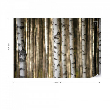 Birch Trees In The Forest Photo Wallpaper Wall Mural - Img 10