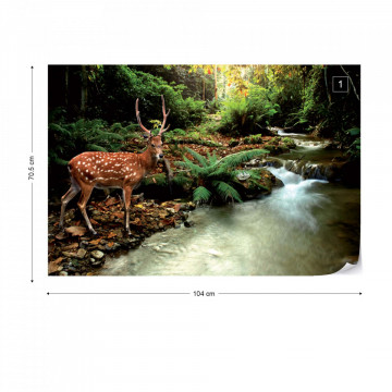 Deer In Forest Photo Wallpaper Wall Mural - Img 1