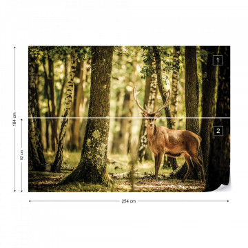 Deer In The Forest Nature Photo Wallpaper Wall Mural - Img 5