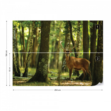 Deer In The Forest Nature Photo Wallpaper Wall Mural - Img 8