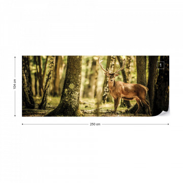 Deer In The Forest Nature Photo Wallpaper Wall Mural - Img 11
