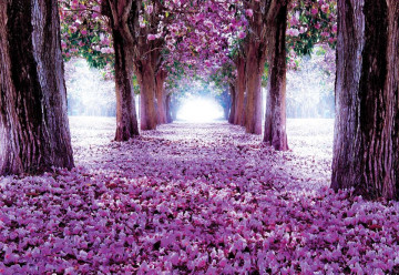 Flowers Trees Path Purple Photo Wallpaper Wall Mural - Img 3