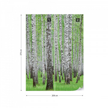 Forest Birch Trees Woods Photo Wallpaper Wall Mural - Img 10