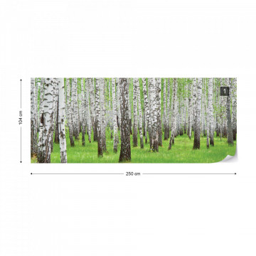 Forest Birch Trees Woods Photo Wallpaper Wall Mural - Img 12