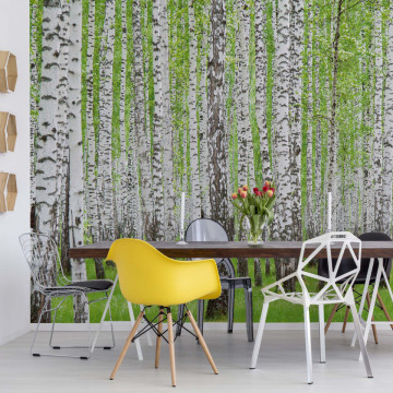 Forest Birch Trees Woods Photo Wallpaper Wall Mural - Img 17