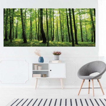 Forest Trees Green Nature Photo Wallpaper Wall Mural - Img 17