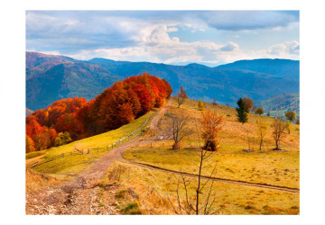 Fototapet - Autumn landscape in the Carpathian mountains - Img 2