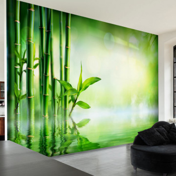 Fototapet - Bamboo Grove - Img 1