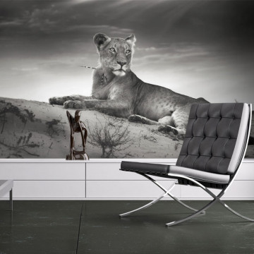 Fototapet - Black and white lioness - Img 1