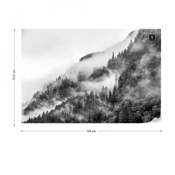 Fototapet - Ceață peste Pădure – Alb-Negru - Img 12