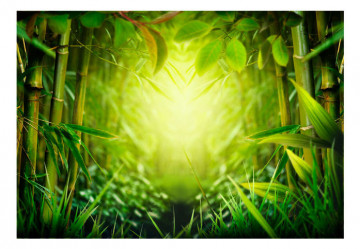 Fototapet - Forest fairy - Img 4