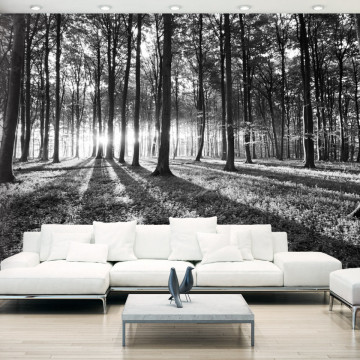 Fototapet - Grey Wilderness - Img 1