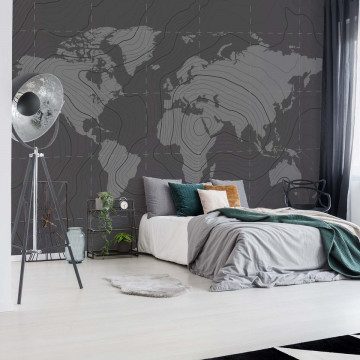 Harta Lumii – Aspect Grafic Minimalist
