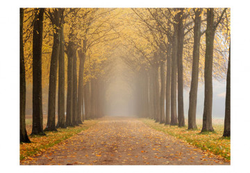 Fototapet - Journey to the unknown - Img 2