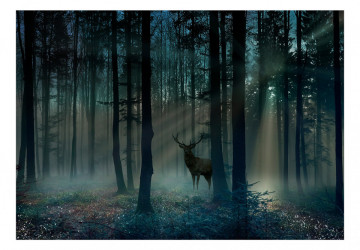 Fototapet - Mystical Forest - Third Variant - Img 2