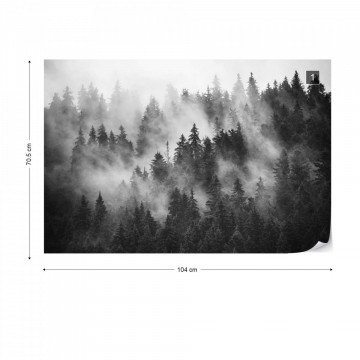 Fototapet - Pădure de Brazi în Ceață – Alb-Negru - Img 1