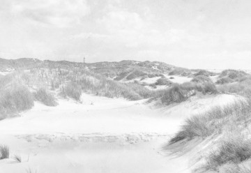Fototapet - Paradis în Deșert – Aspect Vintage Alb-Negru - Img 7