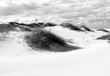 Fototapet - Peisaj cu Dune de Nisip – Alb-Negru - Img 3
