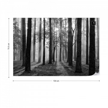 Fototapet - Răsărit de Soare în Pădure – Alb-Negru - Img 1