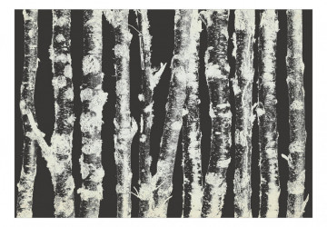 Fototapet - Stately Birches - Second Variant - Img 2