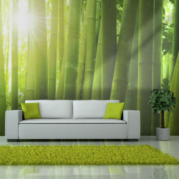 Fototapet - Sun and bamboo - Img 1