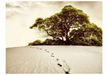 Fototapet - Tree in the desert - Img 2