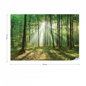 Green Forest Photo Wallpaper Wall Mural - Img 1