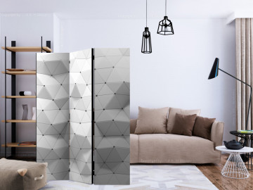Paravan - Amazing Symmetry [Room Dividers] - Img 2