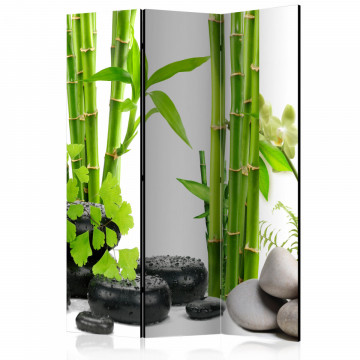Paravan - Bamboos and Stones [Room Dividers] - Img 1