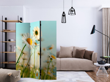 Paravan - Daisies - spring meadow [Room Dividers] - Img 2