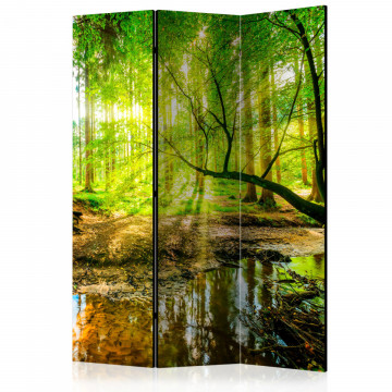 Paravan - Forest Stream [Room Dividers] - Img 1
