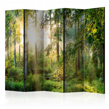 Paravan - Untamed Nature II [Room Dividers] - Img 1