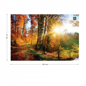 Sunrise In Autumn Forest Photo Wallpaper Wall Mural - Img 13